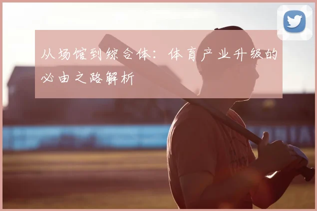 从场馆到综合体：体育产业升级的必由之路解析