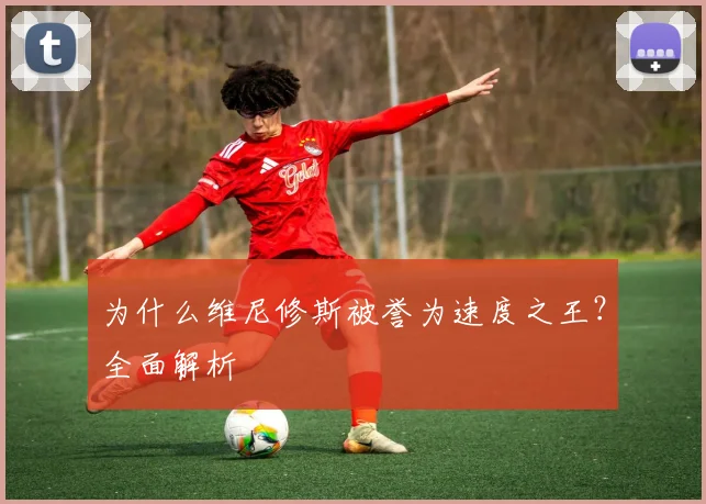 为什么维尼修斯被誉为速度之王?全面解析