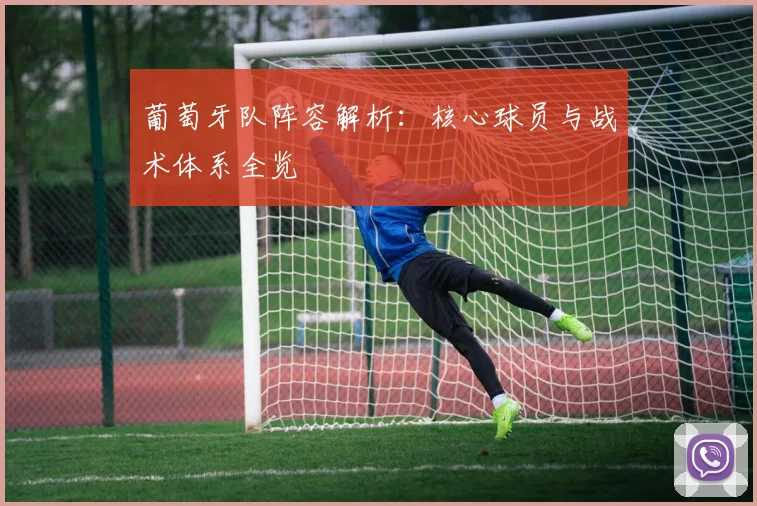 葡萄牙队阵容解析:核心球员与战术体系全览